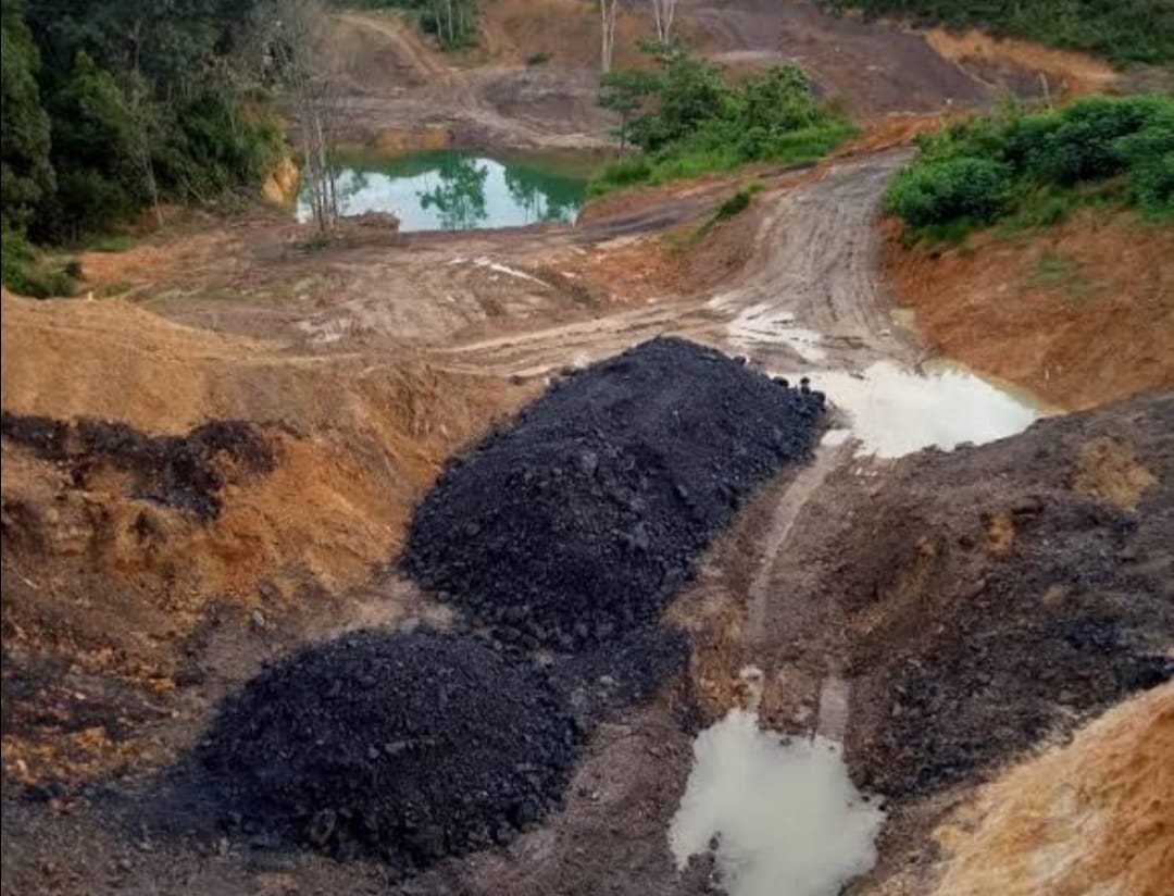 Foto : Tambang Ilegal yang Beroperasi di Wilayah Kaltim.