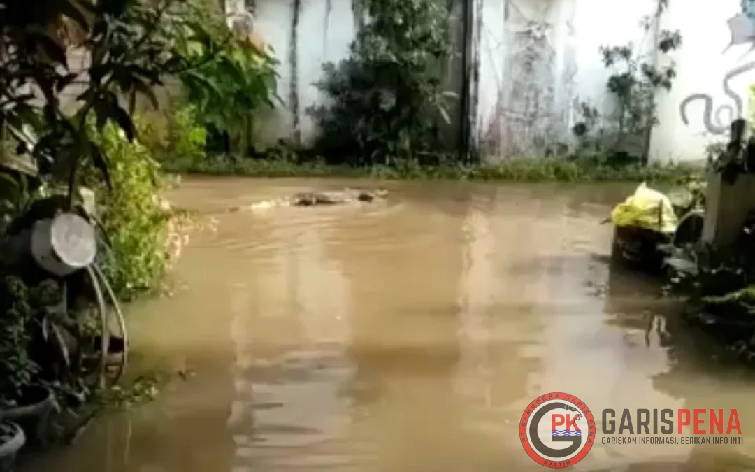 Foto : Screen short penampakan buaya yang masuk permukiman warga Kutim saat banjir