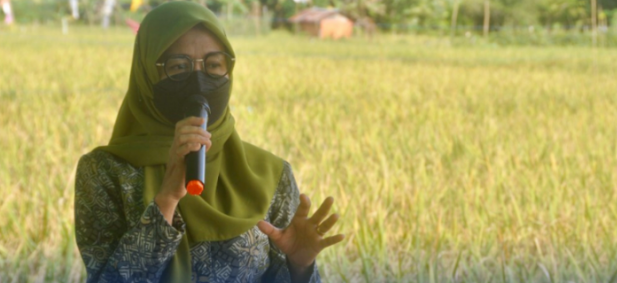 FOTO : Kepala Dinas Pangan, Tanaman Pangan dan Hortikultura Kaltim Siti Farisyah Yana.