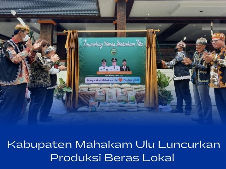 DUKUNG PETANI: Bupati Mahulu Bonifasius Belawan Geh mendukung para petani memaksimalkan hasil produksi beras sehingga bisa membuat produk beras local.