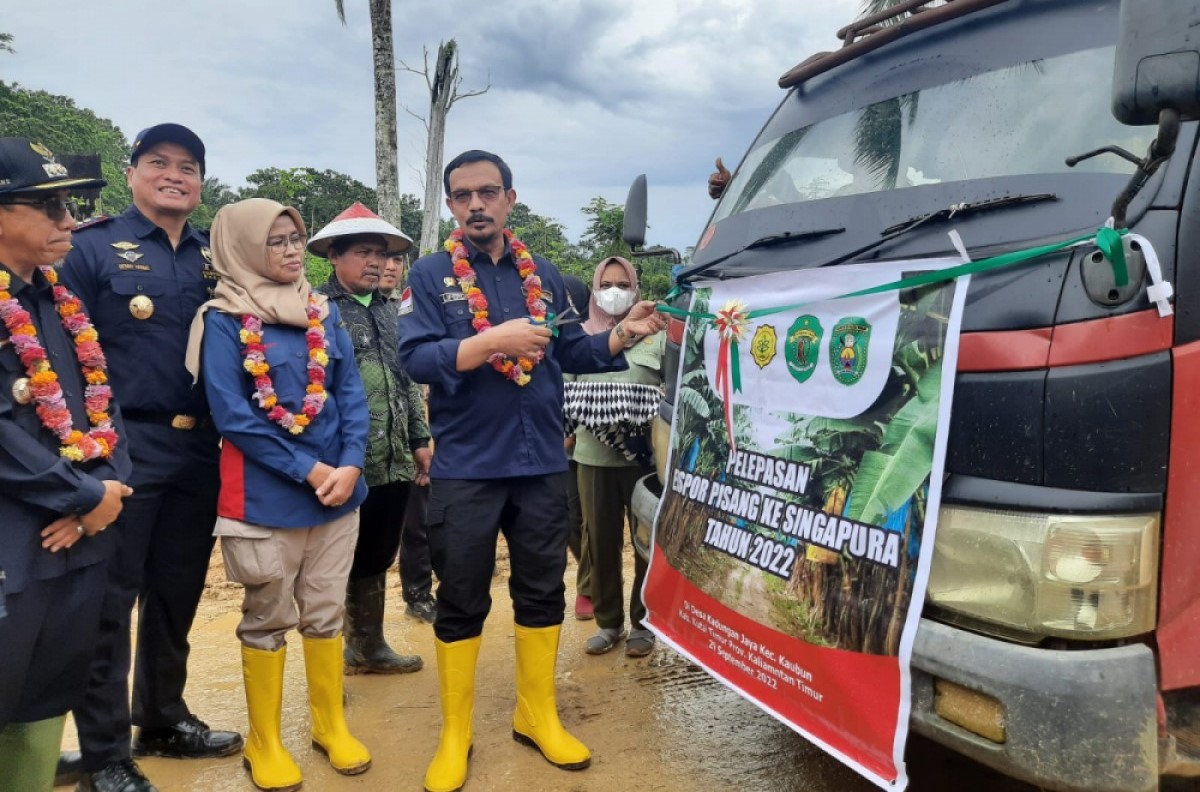EKSPOR PISANG: Pelepasan ekspor pisang varietas lokal, dipimpin langsung oleh Direktur Buah dan Florikultura Kementerian Pertanian (Kementan) Republik Indonesia (RI), Dr. Liferdi Lukman, Kamis (29/09/22) lalu.