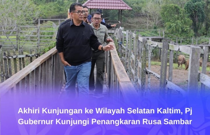 PERLU PERHATIAN: Pj Gubernur Kaltim Akmal Malik meninjau perkembangan penangkaran rusa sambar yang digarap UPTD PTHPT Dinas Peternakan dan Kesehatan Hewan Kaltim di PPU.