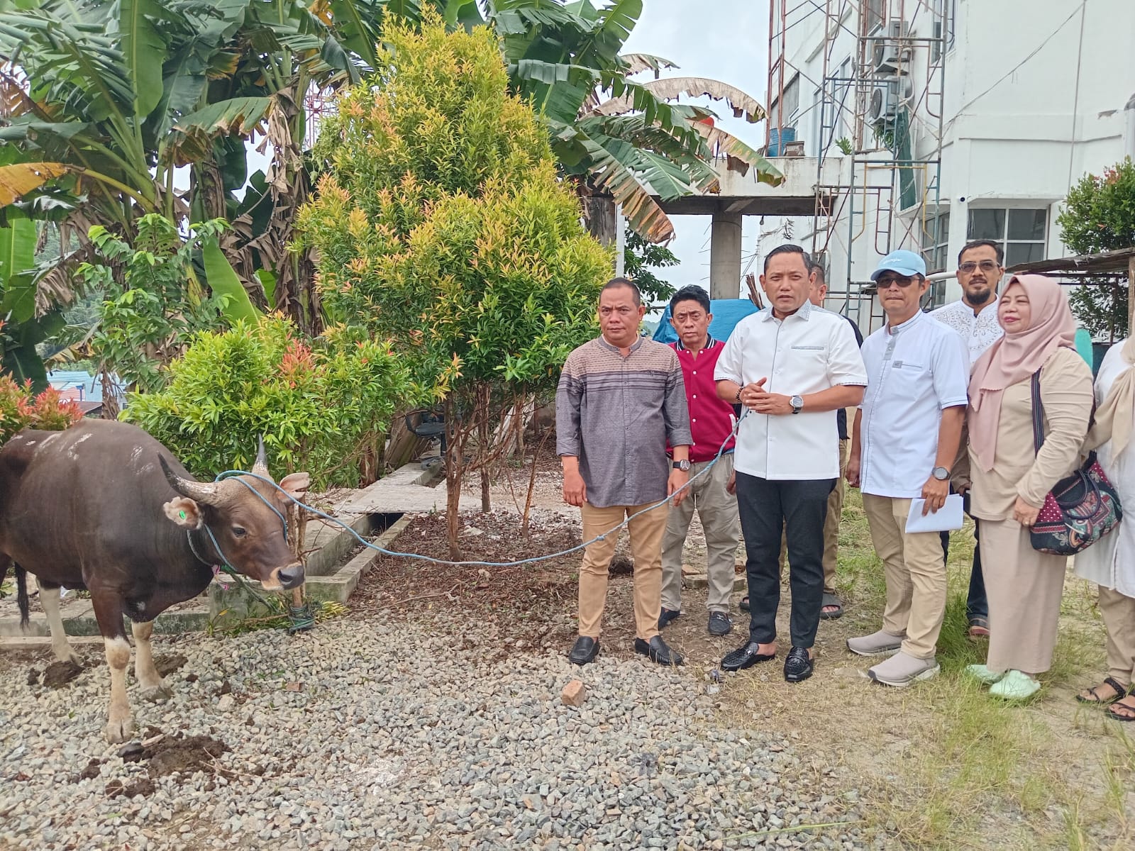 Wakil Gubernur Kalimantan Timur sekaligus Sekretaris DPD Partai Gerindra Kaltim, Seno Aji, saat menyerahkan secara simbolis lima ekor sapi kurban kepada panitia di Kantor DPD Partai Gerindra, Jalan Kadrie Oening, Samarinda, Sabtu (7/6/25).