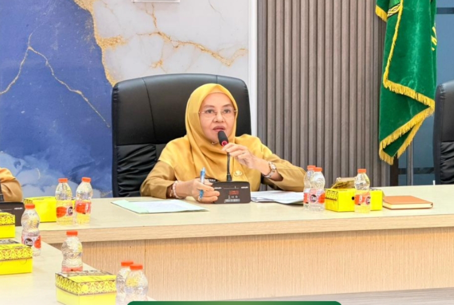 Foto: Direktur Dekonsentrasi Kementerian Dalam Negeri, Elfin Elyas (dok.istinewa)