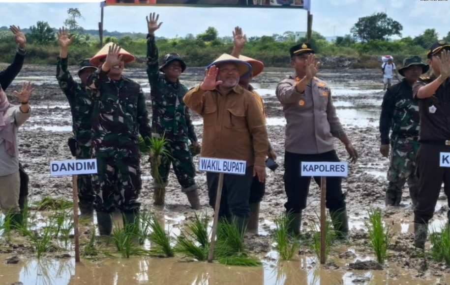 Foto: Wakil Bupati (Wabup) Berau H. Gamalis mewakili Bupati Berau menghadiri kegiatan penanaman (dok.istimewa)